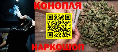 гидропоника Бердск