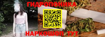 индика Братск