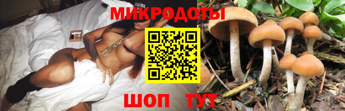 Псилоцибиновые грибы ЛСД Гулькевичи